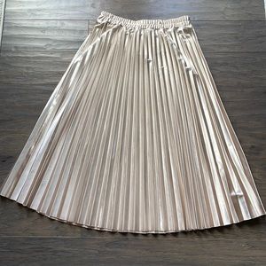 Hello Molly, Champagne Accordion Skirt, by “Sweet Pot”